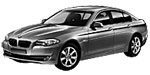 BMW F10 C15C1 Fault Code
